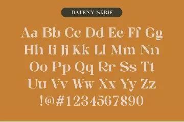 Baleny Elegant Font Duo