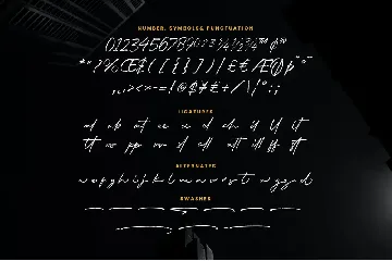 Insiders - Signature Brush font