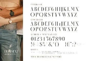 Consent - Editorial Serif Font