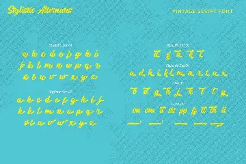 Vintage Scripter font