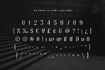 Fashion - Modern Fashion Font