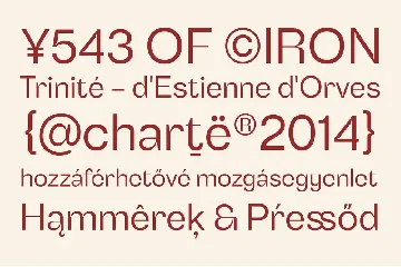 Benetti Grotesk font