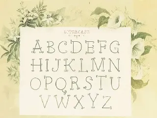 Petit Jardin font