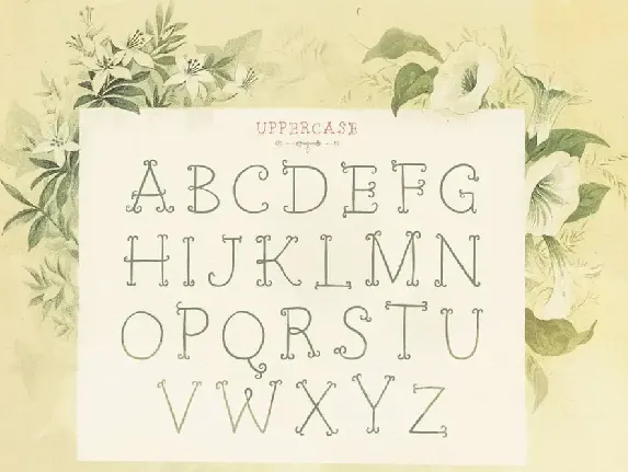 Petit Jardin font