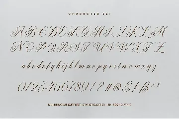 Quadrian - Elegant Script font