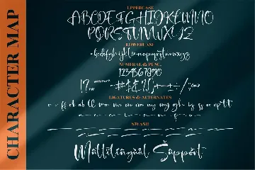 Beterdam Smith Signature Font