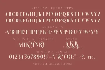 Brioche - Regular & ExtraBold font