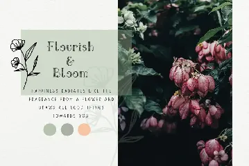 Ciera watercolor svg font, florals & logos