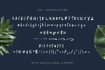 Beautiful Weakness - Handwritten Font