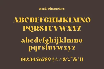 Chilotz | Serif Bold Typeface font