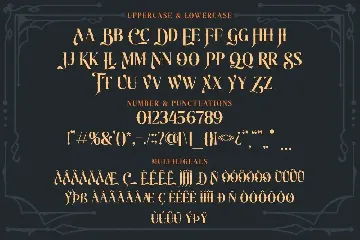 The Cheelaved - Display Vintage Serif font