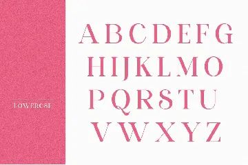 Beauty Nigella font