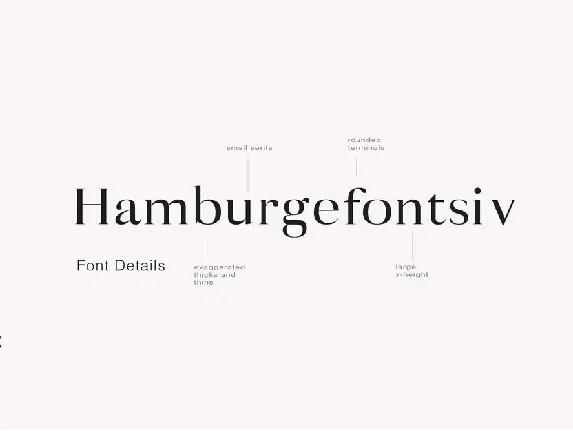 Minyi - A Feminine Serif Typeface font