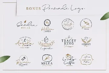 Elaine Hanks (+Feminine Logo Pack) font