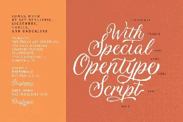 Daytonia - Hand Lettering Script font