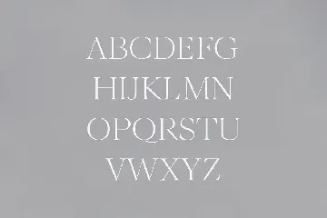 Wensley Modern Serif Font Family