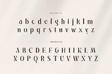 Manyfit - Classy Elegant Luxury Font