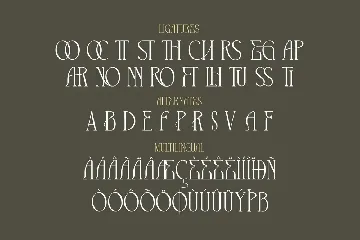 The Cronicle Serif Display Font