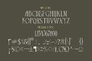 The Cronicle Serif Display Font