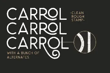 Carrol Wild - Modern Sans font