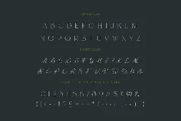 Risuali - Luxury Typeface font