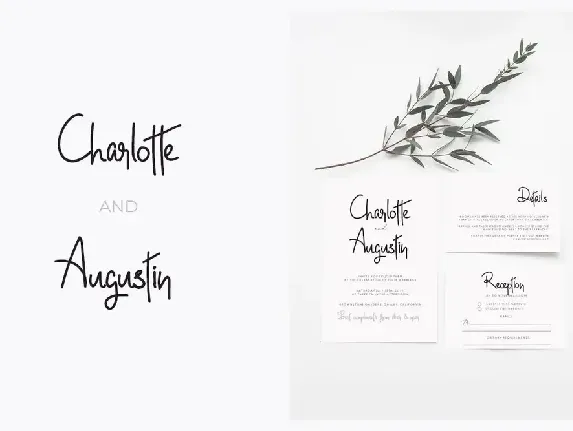 Norletta - Beautiful Handwritten / Luxury Font