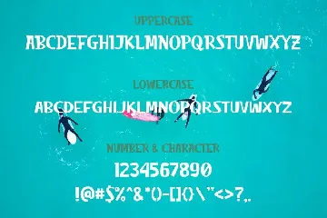 Beach Vibe - Summer font