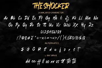 The Shocker - Handwritten Brush Font