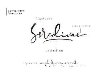 Soredime - Signature Script font