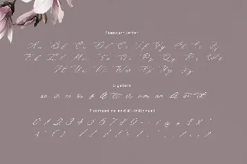 Denise Beauty Font