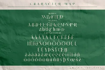 Chelon Classy Serif Font