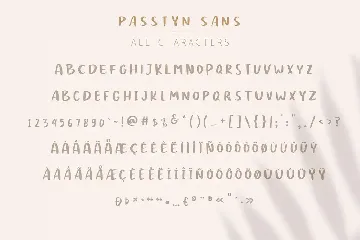 Passtyn - Handwritten Font Duo