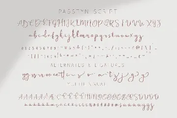 Passtyn - Handwritten Font Duo