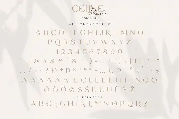 Celine Peach - A Luxury Font Duo