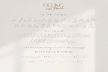 Celine Peach - A Luxury Font Duo