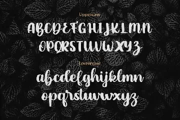 Shady Cave - Script Font