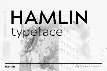 HAMLIN - Minimal Geometric Typeface + Web Fonts