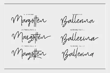 Shutter Stone - Signature Script font