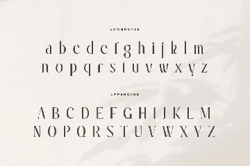 Serenity - Luxury Elegant Beauty Font