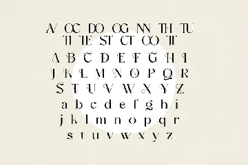 Vasquz Stylish Display Font