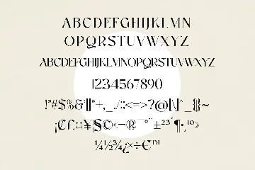 Vasquz Stylish Display Font