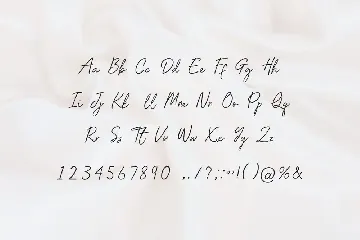 Willmard Valiant Signature Font