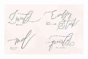 John Davidson Beautiful Modern Calligraphy Font