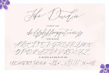 John Davidson Beautiful Modern Calligraphy Font