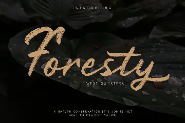 Rustyne - Rustic Script Font