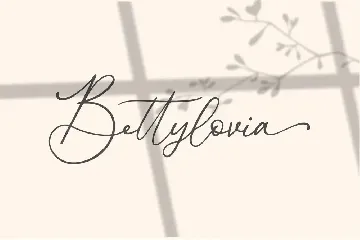 Donatellia | Calligraphy Font