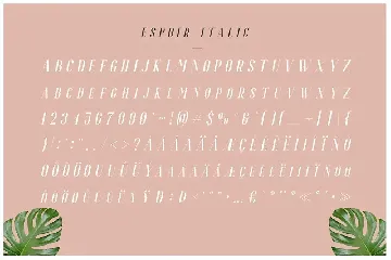 Espoir Serif - Font Family