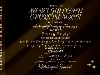 Bastian Richardo Calligraphy Font