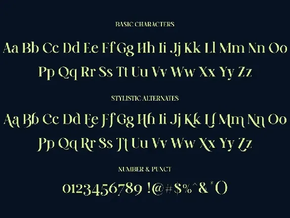 Rinoch | Serif Typeface font