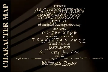 Symphony Calligraphy Font